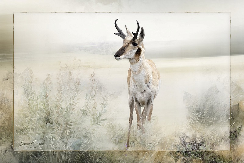Wilderness in Focus: Curated Wildlife Art Prints