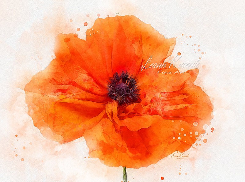 Botanical Fine Art