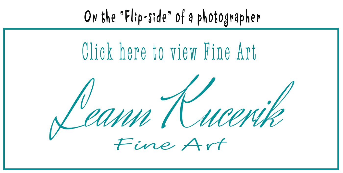 Fine Art.jpg